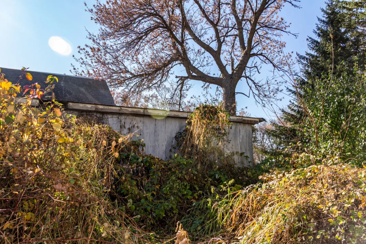 property that needs to be cleared