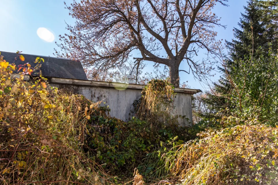 property that needs to be cleared